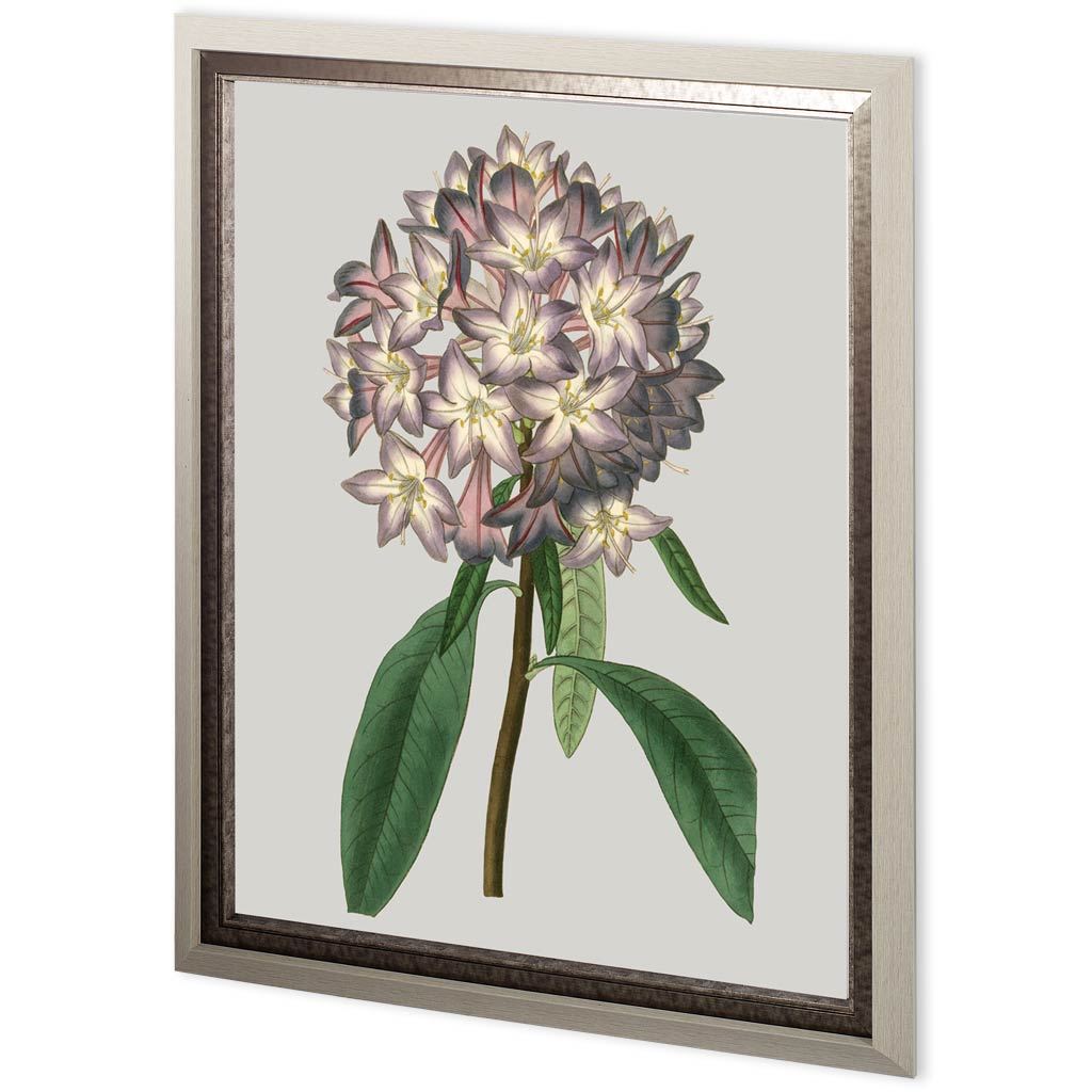 Custom Floral Gems V by Ferdos Maleki Hand Embellished Textured Framed Art Print Matted under Glass from Mercana - Luna Furniture