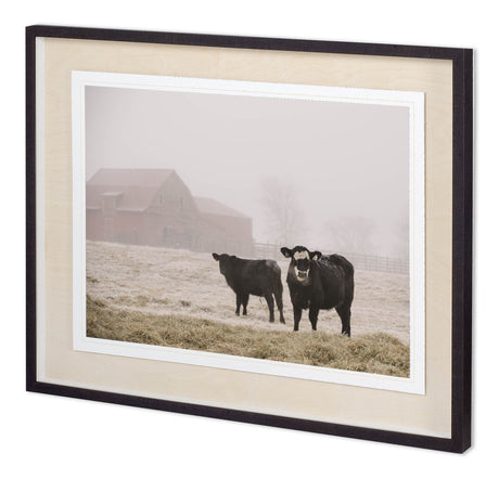 Custom Farm Study III by Adam Mead a Framed Photo Art Print Matted under Glass from Mercana - Luna Furniture