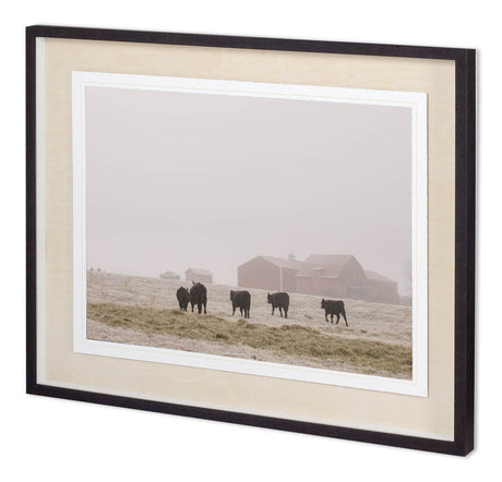Custom Farm Study IV by Adam Mead a Framed Photo Art Print Matted under Glass from Mercana - Luna Furniture