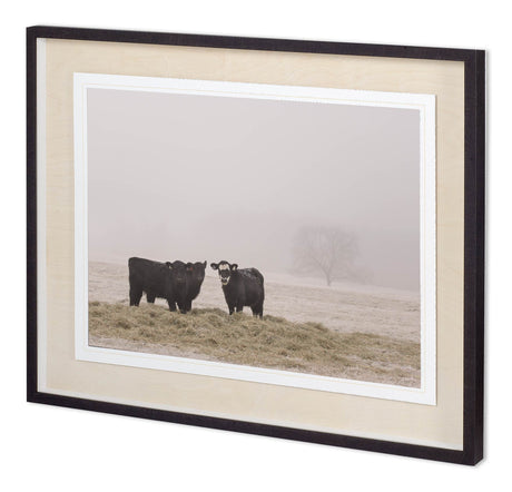 Custom Farm Study V by Adam Mead a Framed Photo Art Print Matted under Glass from Mercana - Luna Furniture