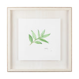 Sweet Bay v2 by Chris Paschke a Framed Art Print Matted under Glass from Mercana - Luna Furniture