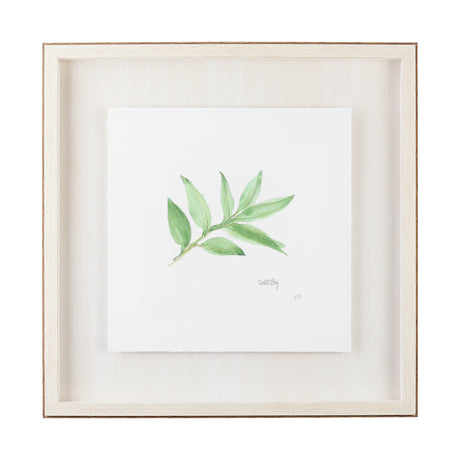 Sweet Bay v2 by Chris Paschke a Framed Art Print Matted under Glass from Mercana - Luna Furniture