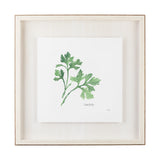 Italian Parsley v2 by Chris Paschke a Framed Art Print Matted under Glass from Mercana - Luna Furniture