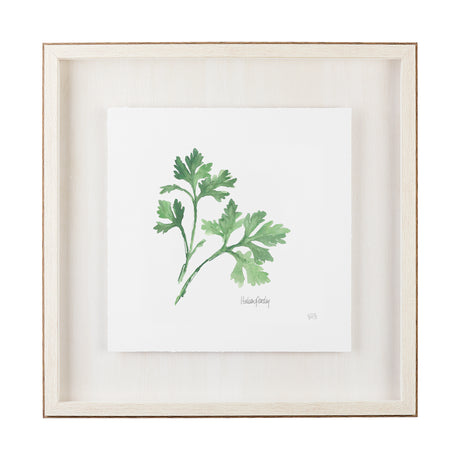 Italian Parsley v2 by Chris Paschke a Framed Art Print Matted under Glass from Mercana - Luna Furniture