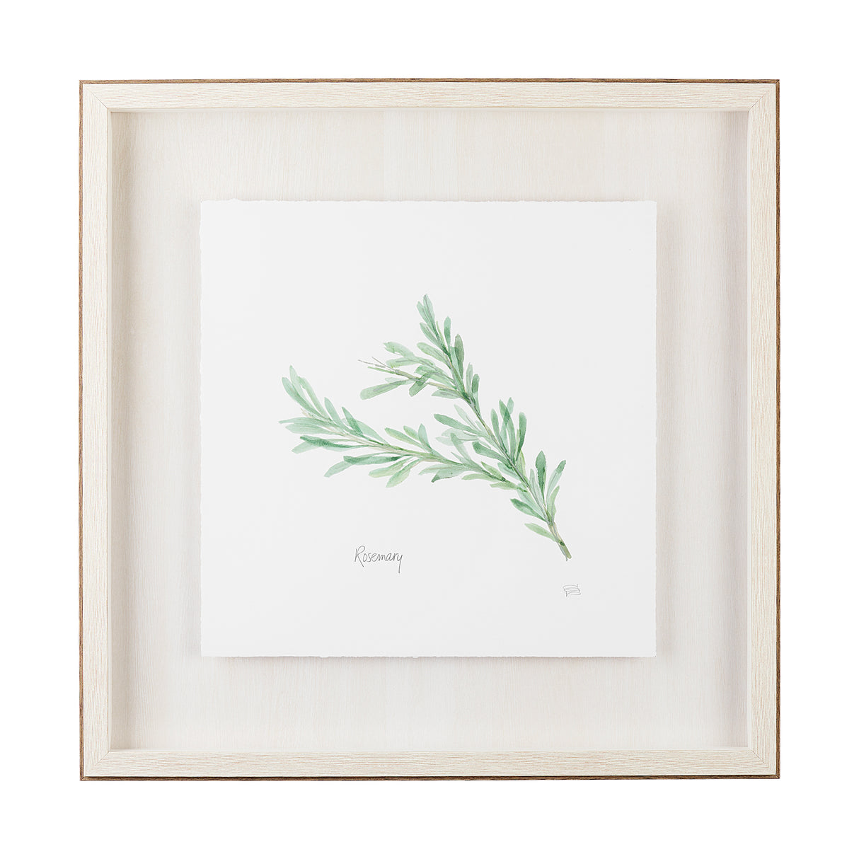 Rosemary v2 by Chris Paschke a Framed Art Print Matted under Glass from Mercana - Luna Furniture