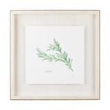 Rosemary v2 by Chris Paschke a Framed Art Print Matted under Glass from Mercana - Luna Furniture