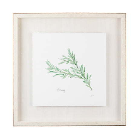Rosemary v2 by Chris Paschke a Framed Art Print Matted under Glass from Mercana - Luna Furniture