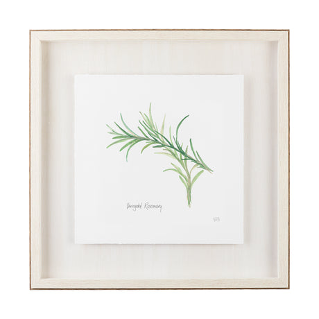 Variegated Rosemary v2 by Chris Paschke a Framed Art Print Matted under Glass from Mercana - Luna Furniture