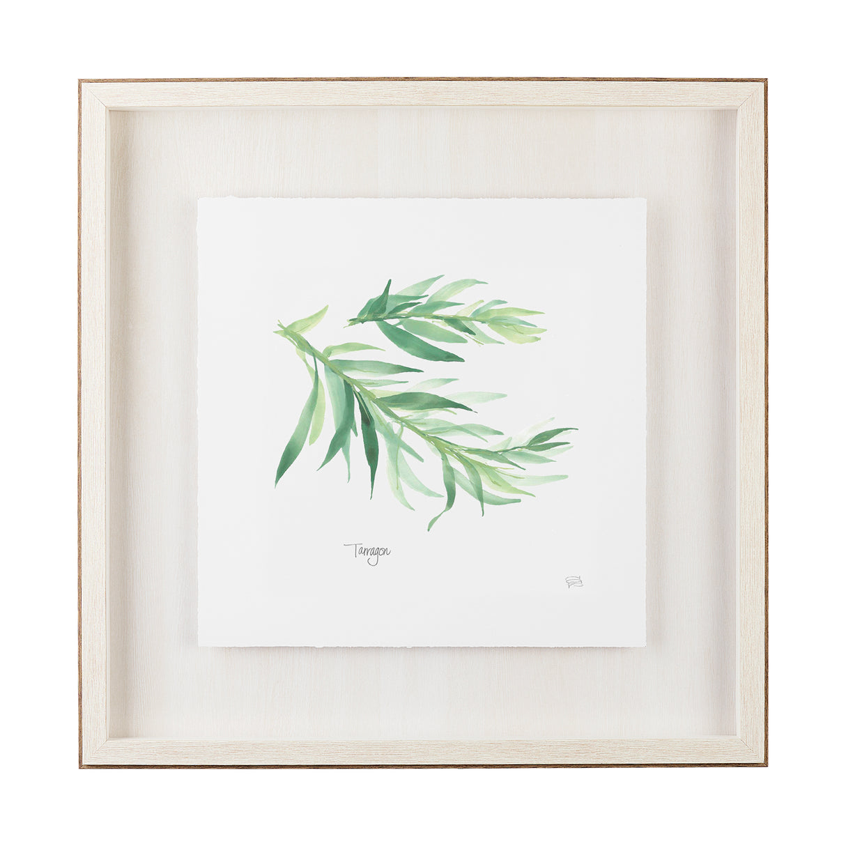 Tarragon v2 by Chris Paschke a Framed Art Print Matted under Glass from Mercana - Luna Furniture