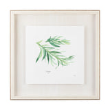 Tarragon v2 by Chris Paschke a Framed Art Print Matted under Glass from Mercana - Luna Furniture