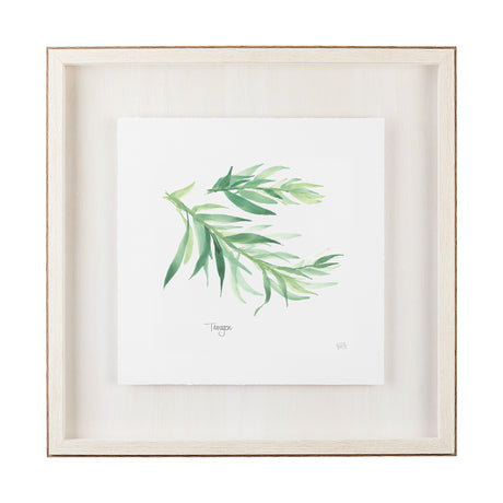 Tarragon v2 by Chris Paschke a Framed Art Print Matted under Glass from Mercana - Luna Furniture