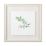 Thyme v2 by Chris Paschke a Framed Art Print Matted under Glass from Mercana - Luna Furniture