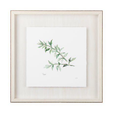 Thyme v2 by Chris Paschke a Framed Art Print Matted under Glass from Mercana - Luna Furniture