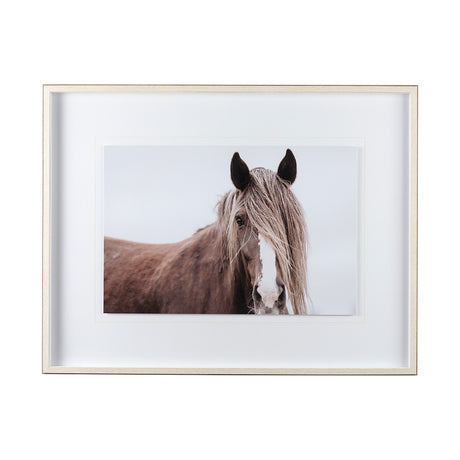 Wild Mane by Mercana Studio a Framed Photo Art Print Matted under Glass from Mercana - Luna Furniture