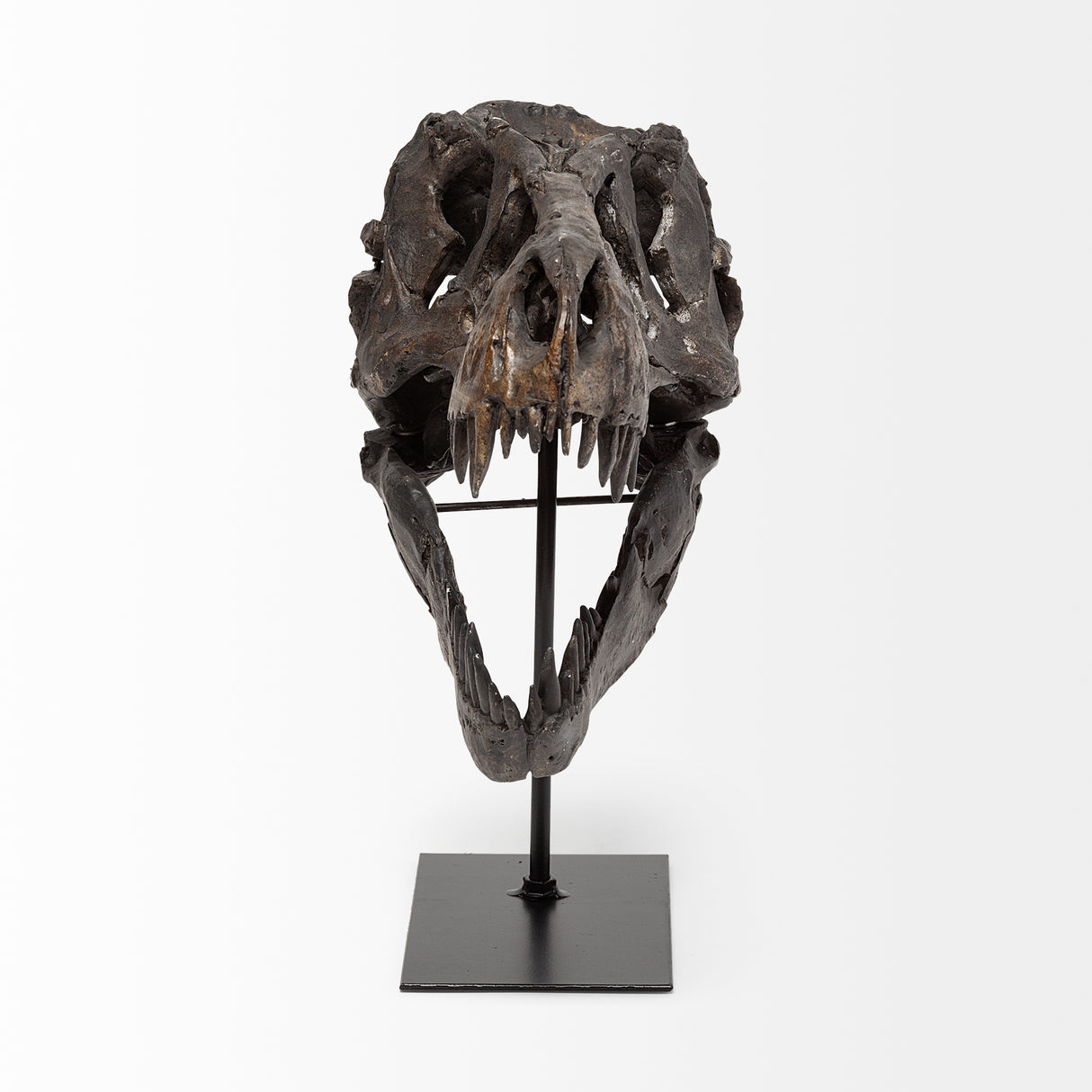 Jurassic 6L x 10W Brown Resin Tyrannosaurus Skull Replica from Mercana - Luna Furniture