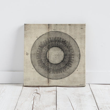 Cross Cut II (MC) by Mercana Studio a Hand Embellished Textured Canvas from Mercana - Luna Furniture