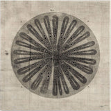 Cross Cut III (MC) by Mercana Studio a Hand Embellished Textured Canvas from Mercana - Luna Furniture