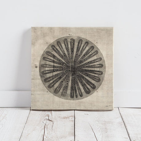 Cross Cut III (MC) by Mercana Studio a Hand Embellished Textured Canvas from Mercana - Luna Furniture