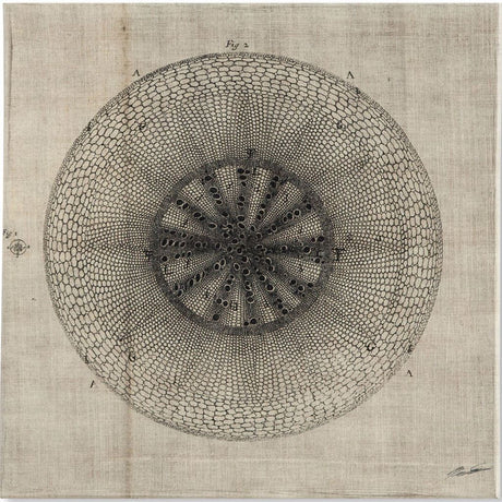 Cross Cut IV (MC) by Mercana Studio a Hand Embellished Textured Canvas from Mercana - Luna Furniture