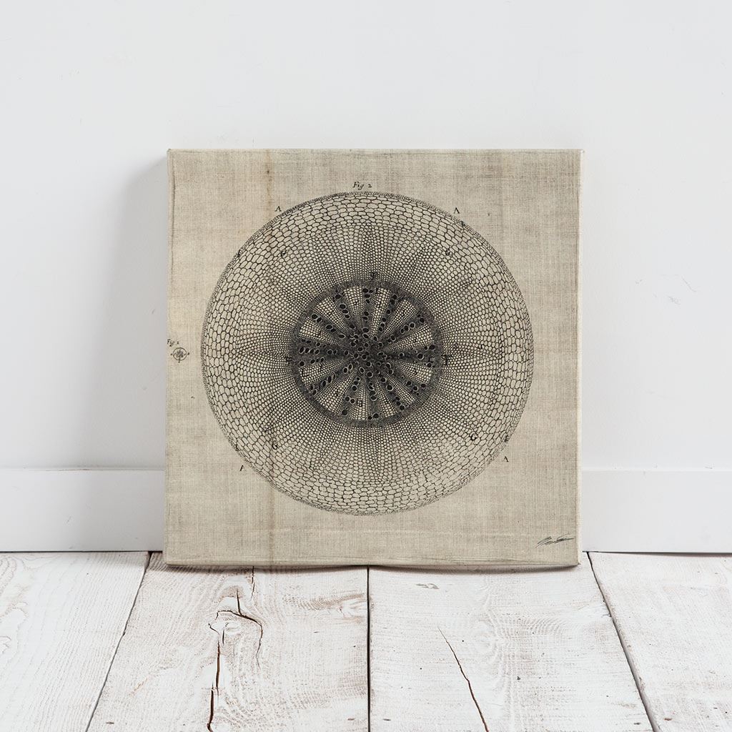 Cross Cut IV (MC) by Mercana Studio a Hand Embellished Textured Canvas from Mercana - Luna Furniture