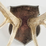 Sika I Natural Finish set of Replica Deer Antlers from Mercana - Luna Furniture