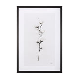 Snow Greetings II by Panpan a Framed Art Print Matted under Glass from Mercana - Luna Furniture