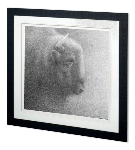 Wake Up in the Night II by Simone a Framed Art Print Matted under Glass from Mercana - Luna Furniture