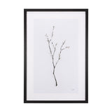 Snow Greetings I by Panpan a Framed Art Print Matted under Glass from Mercana - Luna Furniture