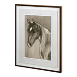 Horse Portrait II by Mercana Studio a Hand Embellished Textured Framed Art Print Matted under Glass from Mercana - Luna Furniture