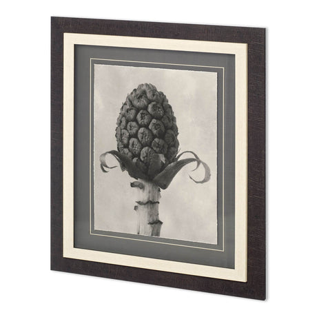 Custom Blossfeldt Botanical IV Karl Blossfeldt Hand Embellished Framed Art Print Matted under Glass from Mercana - Luna Furniture