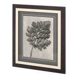 Custom Blossfeldt Botanical III Karl Blossfeldt Hand Embellished Framed Art Print Matted under Glass from Mercana - Luna Furniture
