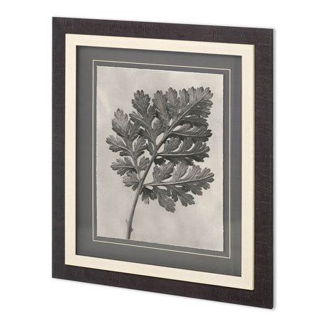 Custom Blossfeldt Botanical III Karl Blossfeldt Hand Embellished Framed Art Print Matted under Glass from Mercana - Luna Furniture