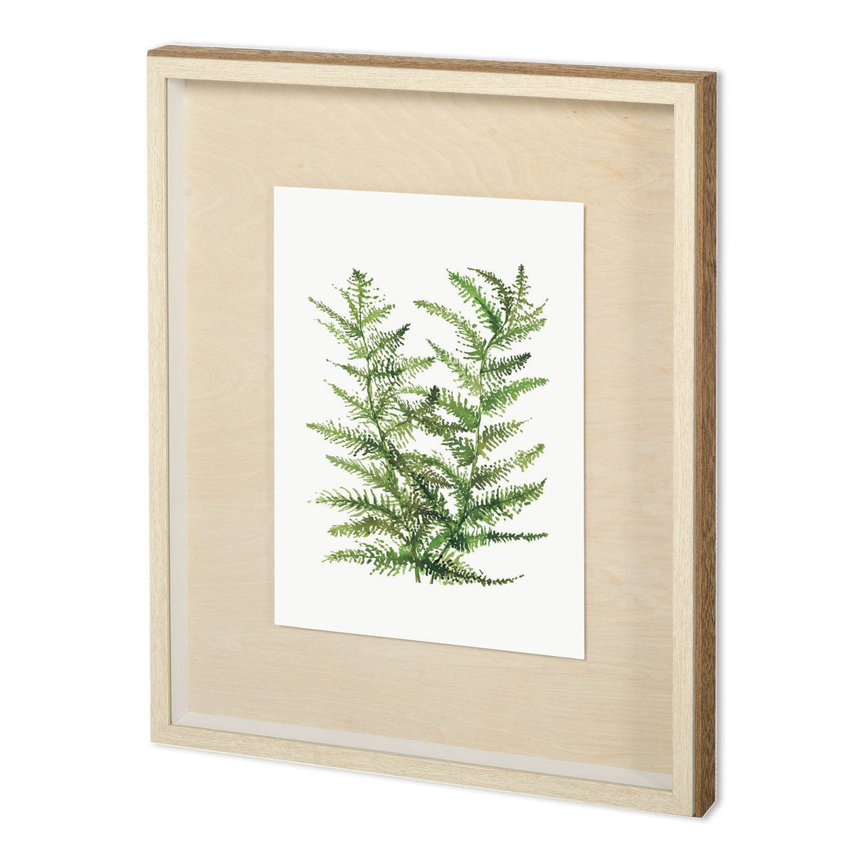 WILD GREENS II by MEYERS a Framed Art Print Matted under Glass from Mercana - Luna Furniture