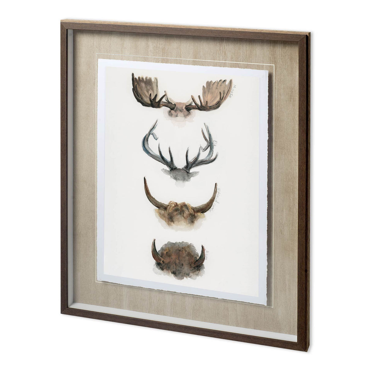 Horn & Tail Study II by Mercana Studio Hand Embelished Textured Framed Art Print Matted under Glass from Mercana - Luna Furniture