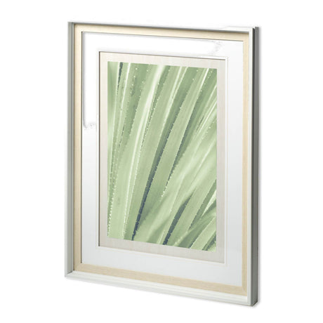 Guadalupe - Framed Art Photograph Matted under Glass from Mercana - Luna Furniture