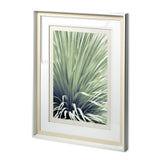 Chisos - Framed Art Photograph Matted under Glass from Mercana - Luna Furniture