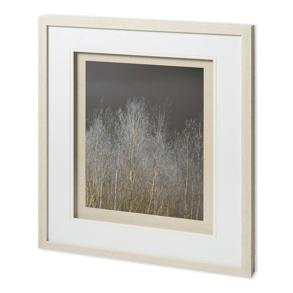 Silver Forest III by Frank, Assaf a Framed Photo Art Print Matted under Glass from Mercana - Luna Furniture