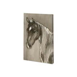 Horse Portrait II by Mercana Studio a Hand Embellished Textured Canvas from Mercana - Luna Furniture