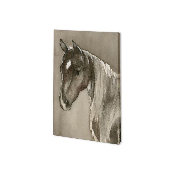 Horse Portrait II by Mercana Studio a Hand Embellished Textured Canvas