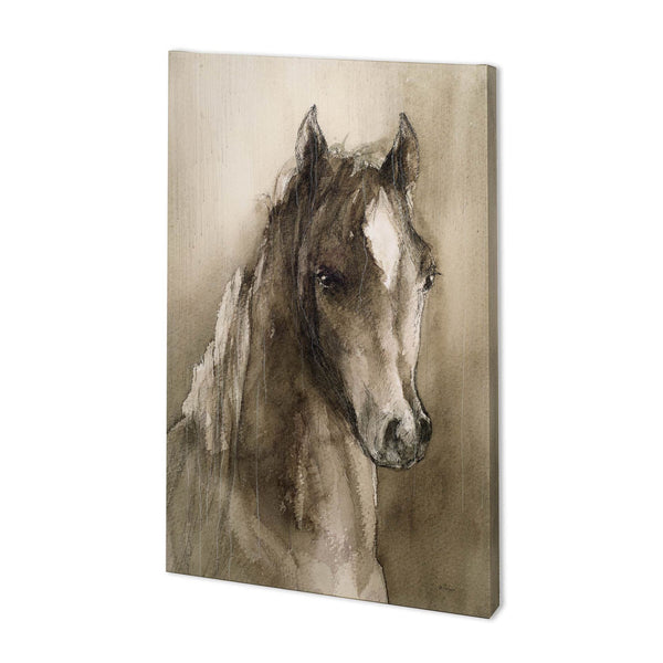 Horse Portrait I by Mercana Studio a Hand Embellished Textured Canvas