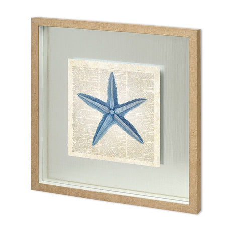 Starfish Pages by Christopher James a Hand Embellished Textured Framed Art Print Matted under Glass from Mercana - Luna Furniture