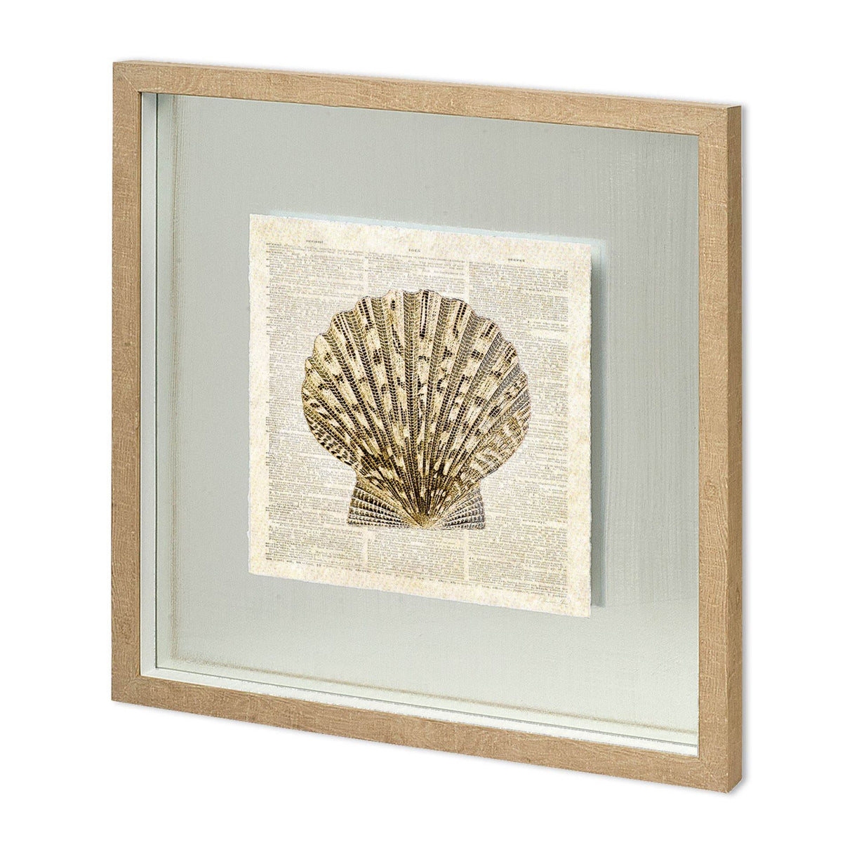 Scallop Shell Pages by Christopher James Hand Embellished Framed Art Print Matted under Glass from Mercana - Luna Furniture