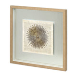 Sea Urchin Pages by Christopher James Hand Embellished Textured Framed Art Print Matted under Glass from Mercana - Luna Furniture