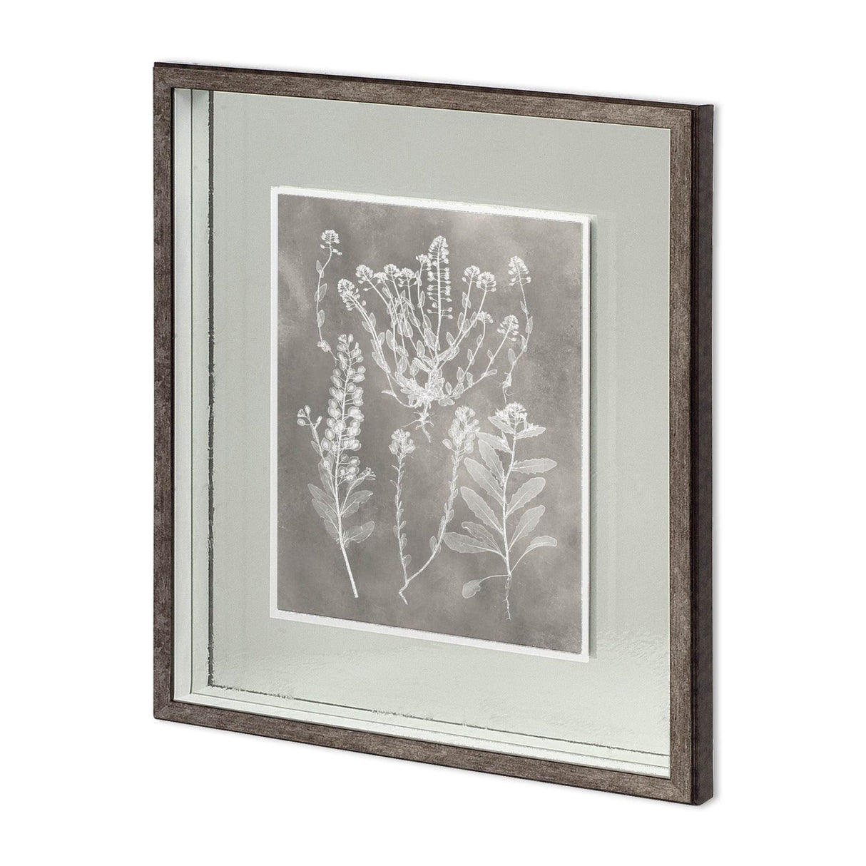 Custom Herbarium Study III by Vision Studio Hand Embellished Framed Art Print Matted under Glass from Mercana - Luna Furniture
