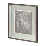 Custom Herbarium Study III by Vision Studio Hand Embellished Framed Art Print Matted under Glass from Mercana - Luna Furniture