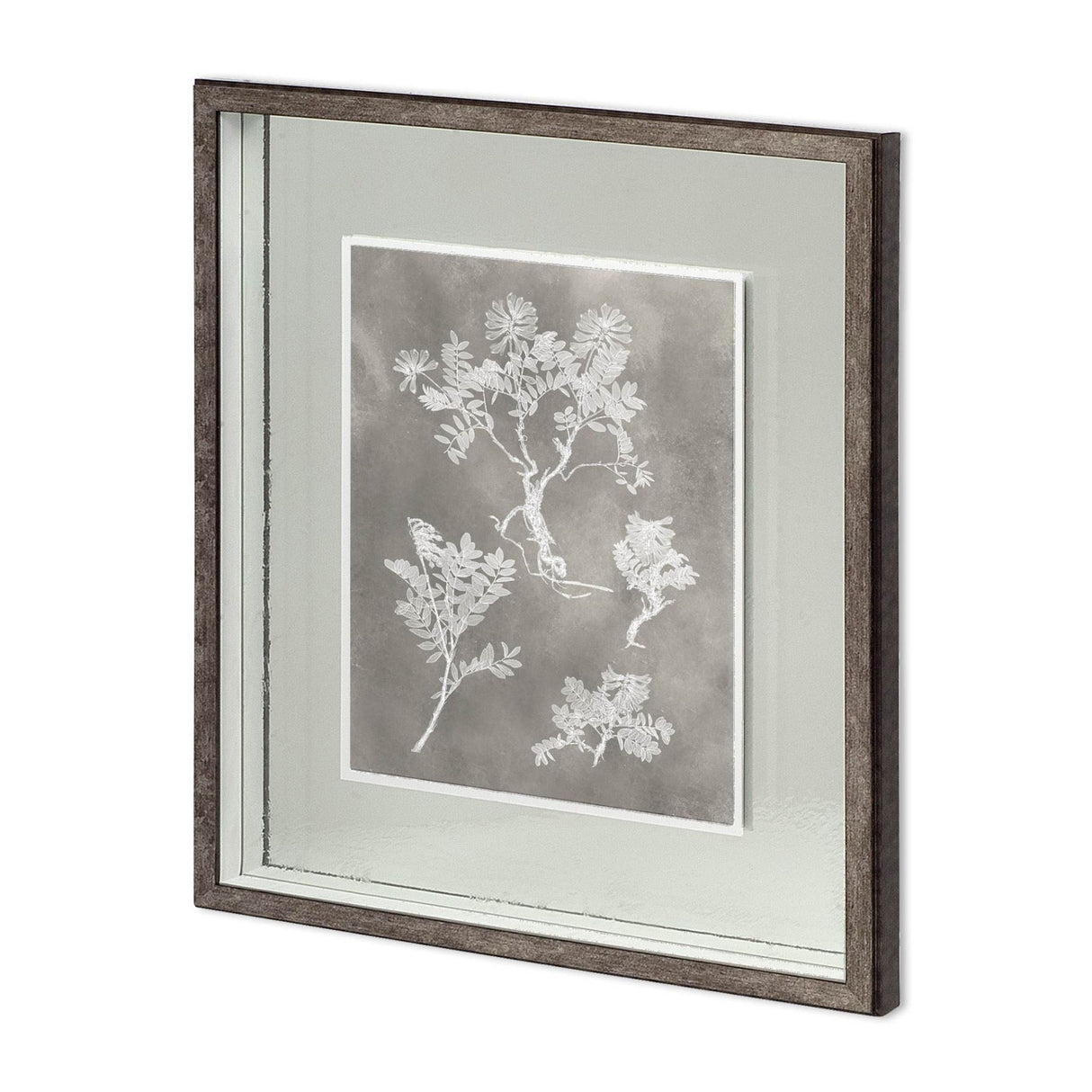 Custom Herbarium Study II by Vision Studio Hand Embellished Framed Art Print Matted under Glass from Mercana - Luna Furniture