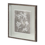 Custom Herbarium Study II by Vision Studio Hand Embellished Framed Art Print Matted under Glass from Mercana - Luna Furniture
