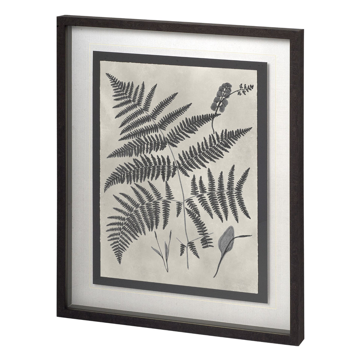Vintage Fern Study by Mercana Studio a Hand Embellished Textured Framed Art Print Matted under Glass from Mercana - Luna Furniture