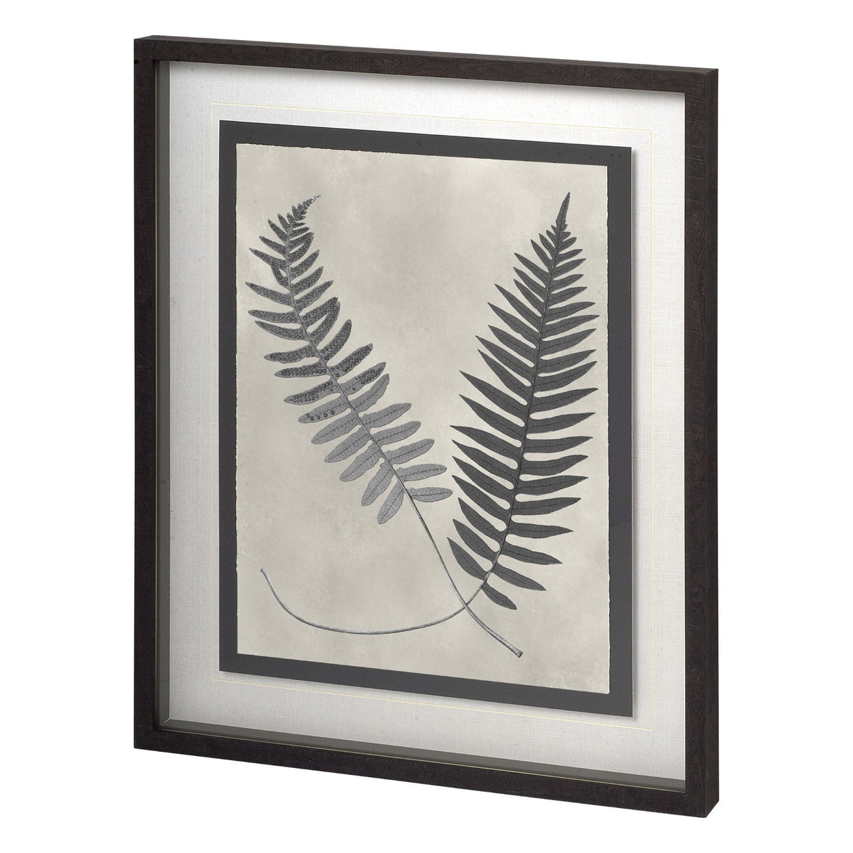 Vintage Fern Study by Mercana Studio a Hand Embellished Textured Framed Art Print Matted under Glass from Mercana - Luna Furniture