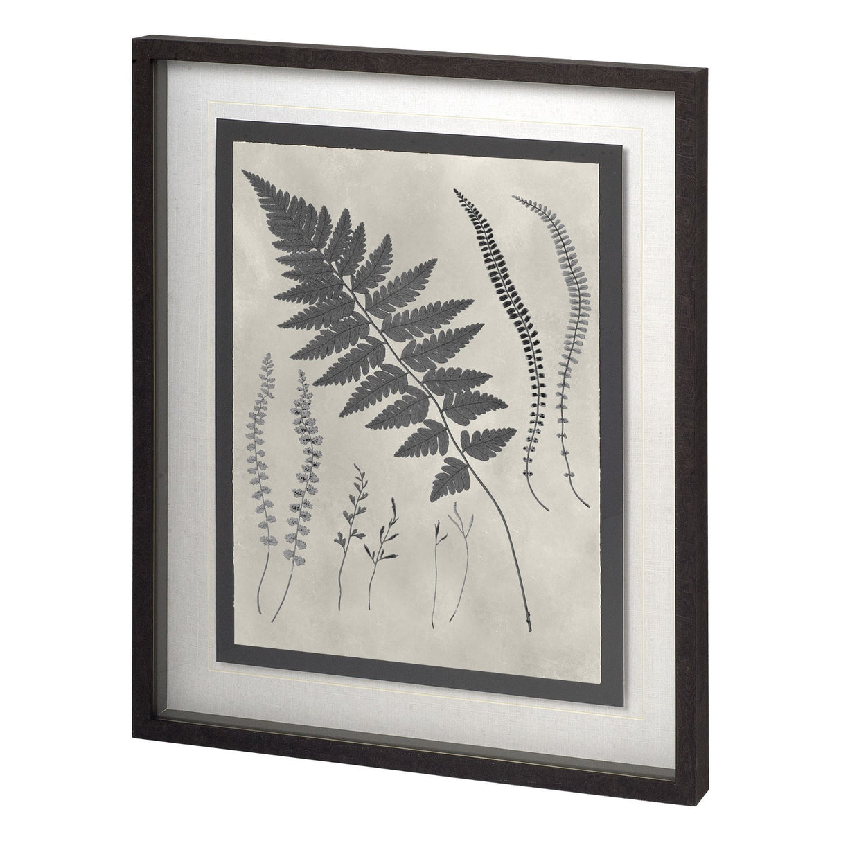 Vintage Fern Study by Mercana Studio a Hand Embellished Textured Framed Art Print Matted under Glass from Mercana - Luna Furniture